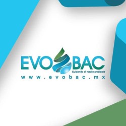 Logo Evobac