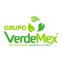 Logo Grupo VerdeMex