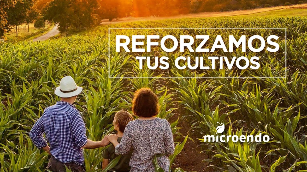Imagen Microendo