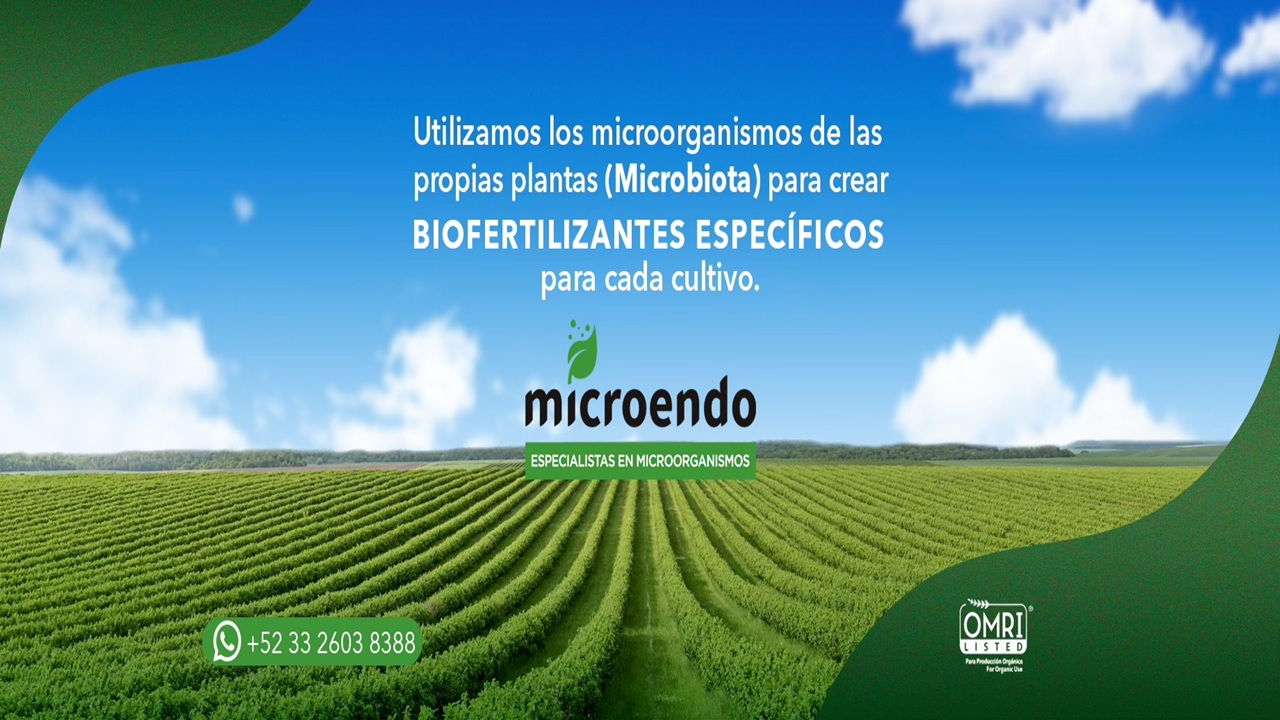 Imagen Microendo