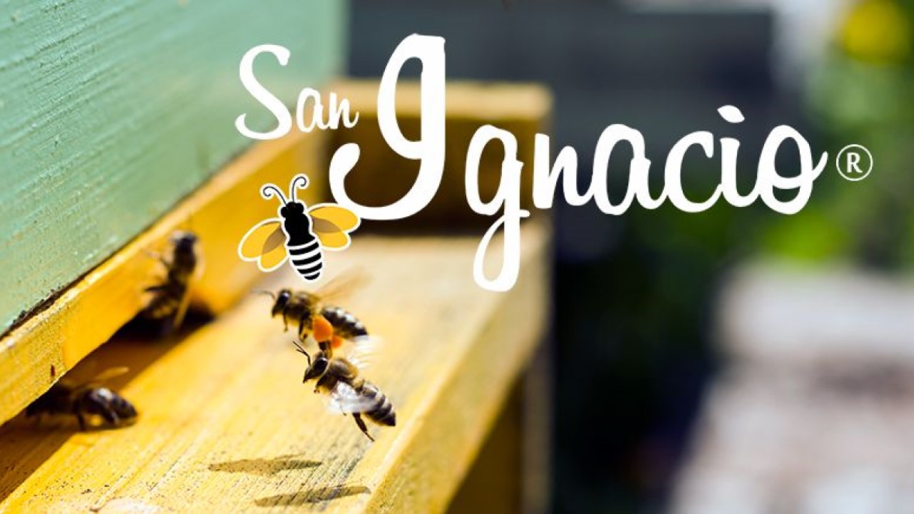 Imagen Mieles San Ignacio