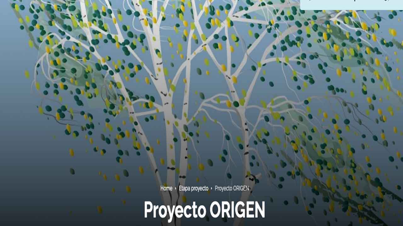 Imagen Proyecto Origen