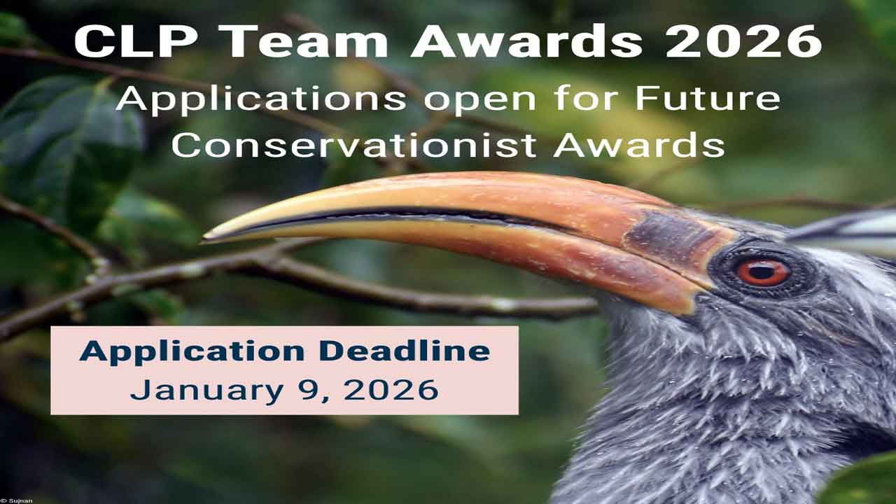 Imagen Future Conservationist Award