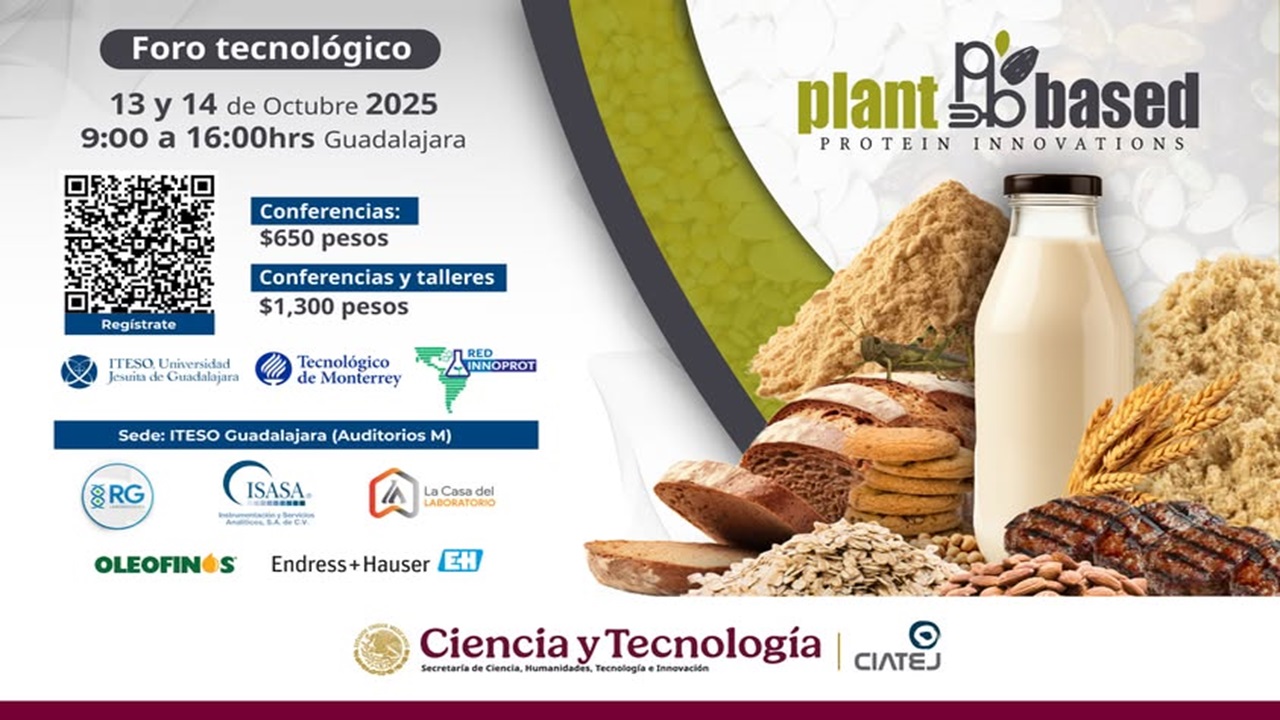 Plant Based Protein Innovations 2025