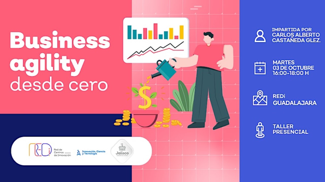 Business Agility desde cero