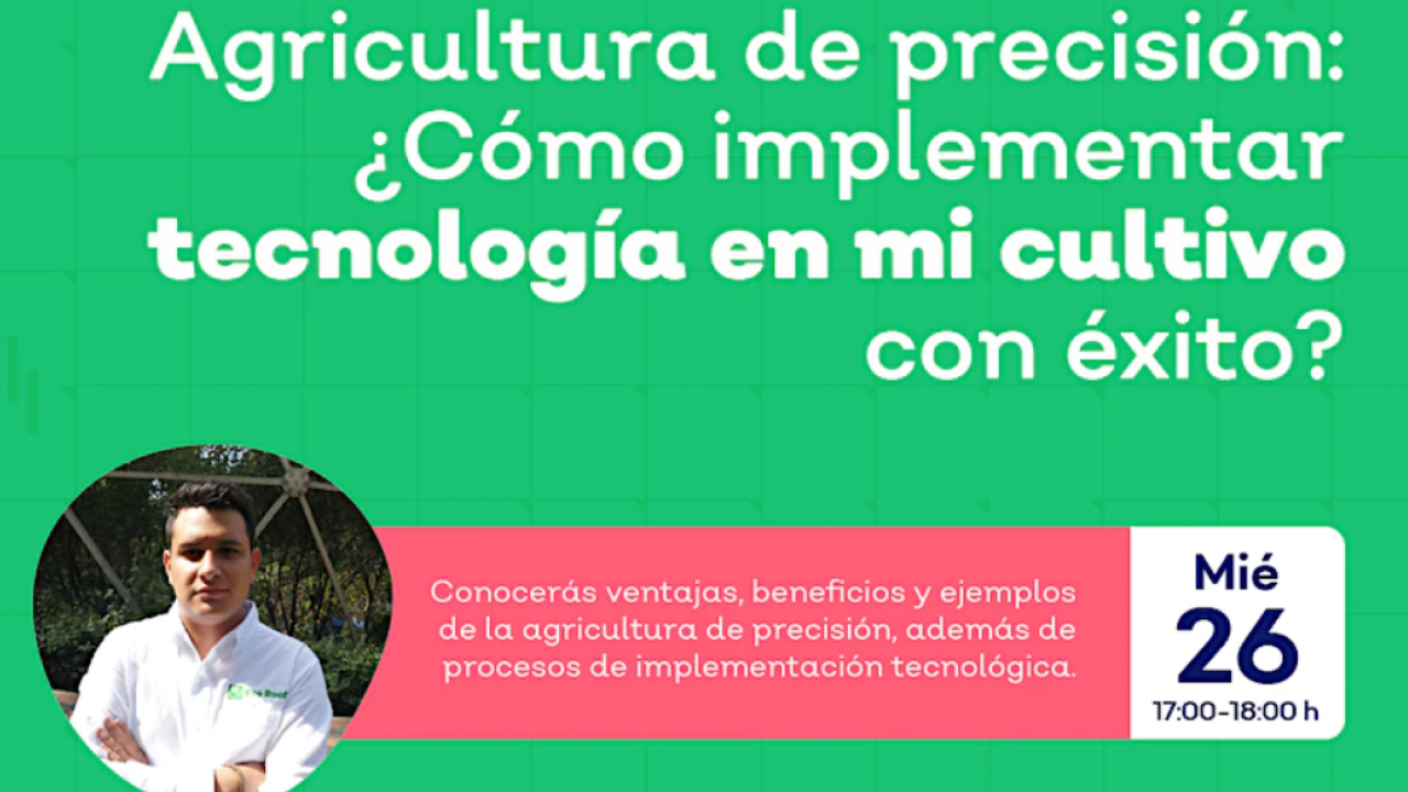 Agricultura de precisión: Cómo implementar tecnología en mi cultivo