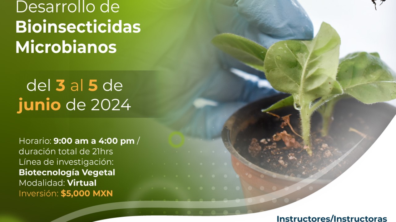 Desarrollo de Bioinsecticidas Microbianos