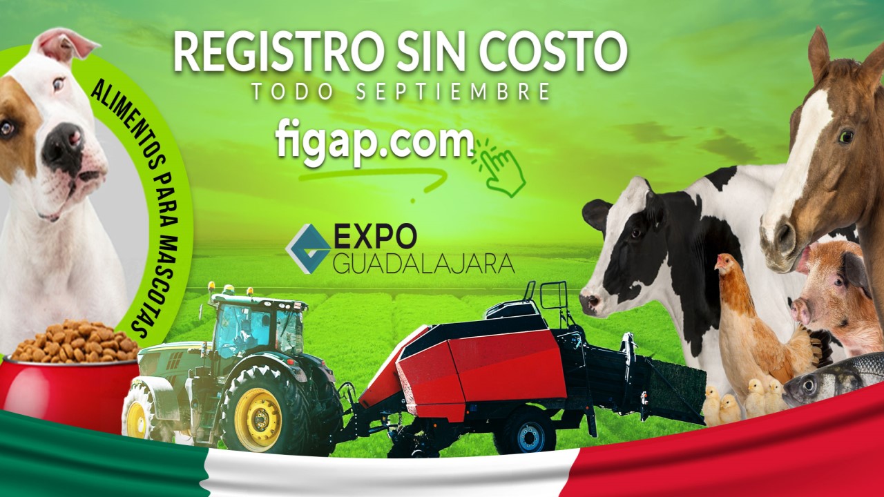 FIGAP 2022