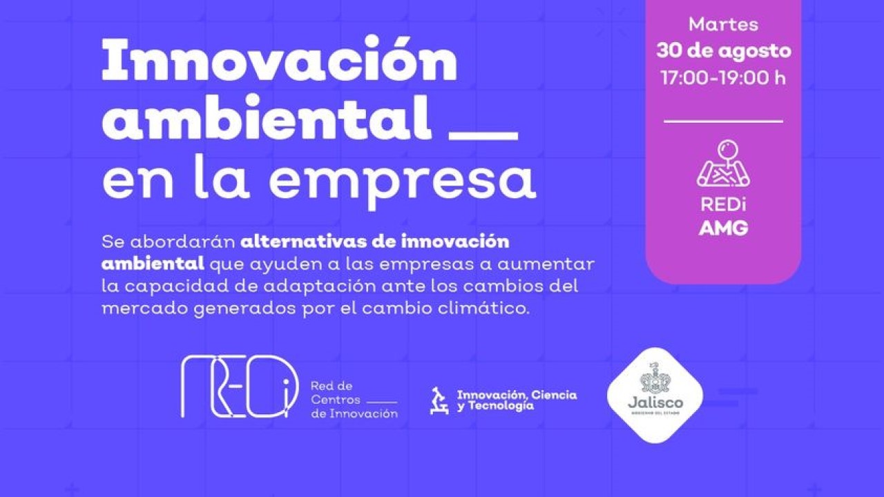 Innovación ambiental en la empresa