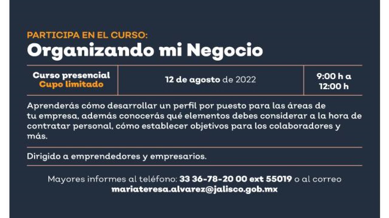 Organizando mi negocio