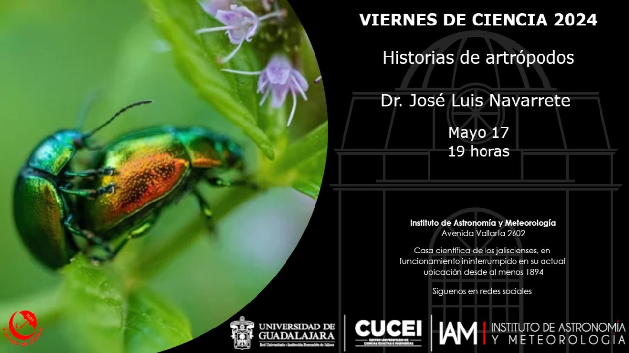 Viernes de ciencia