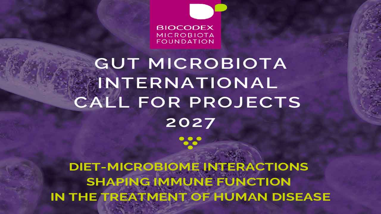 Fondo imagen