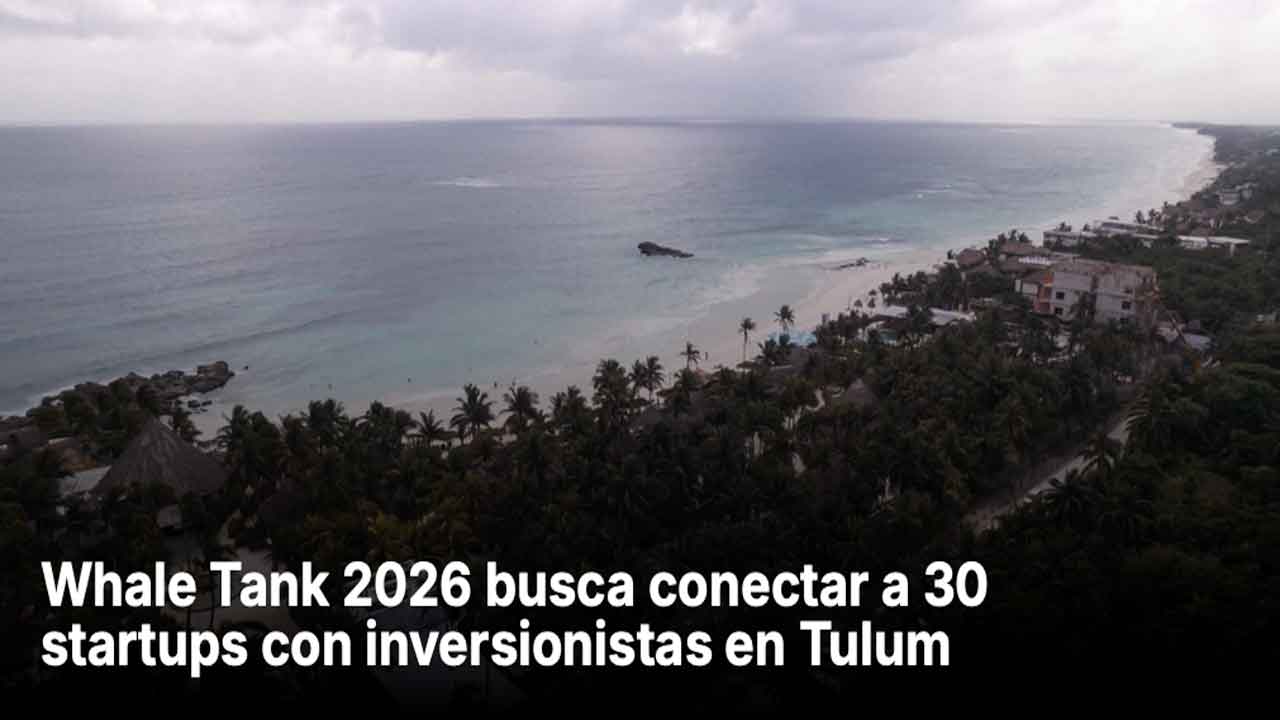 Whale Tank 2026 busca conectar a 30 startups con inversionistas en Tulum