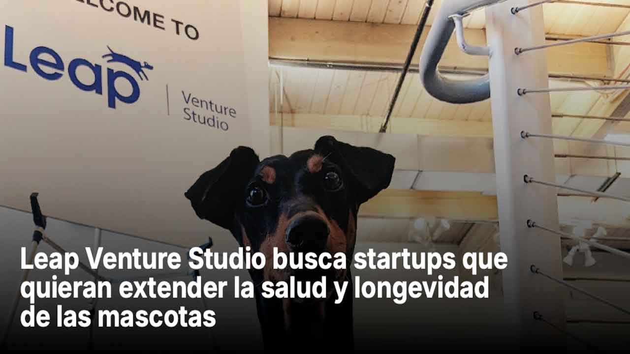 Leap Venture Studio busca startups que quieran extender la salud y longevidad de las mascotas