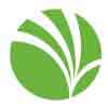 Imagen Analyst, Digital Enablement