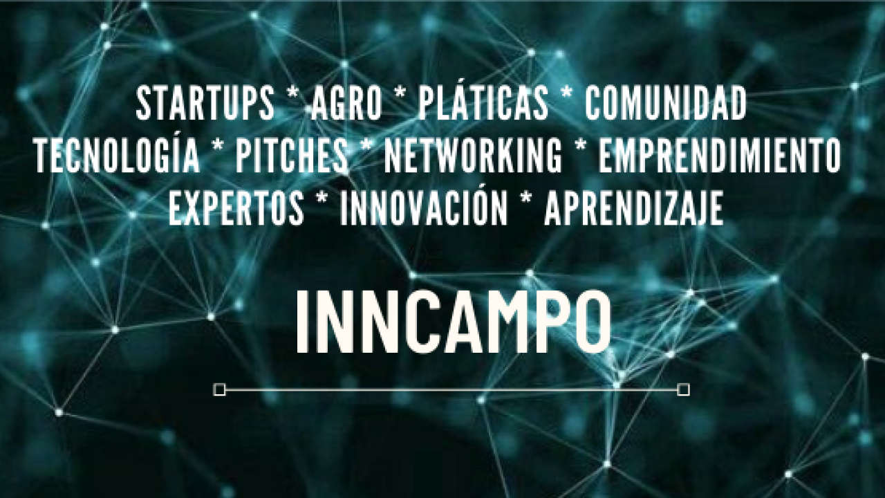 Imagen Inncampo
